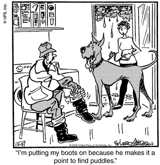 marmaduke